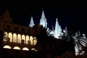 Palma Cathedral by night